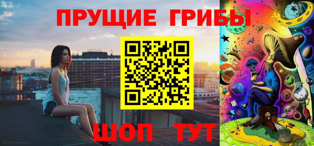 Прохладный  Галлюциногенные грибы MAGIC MUSHROOMS  Псилоцибиновые грибы MAGIC MUSHROOMS  дарнет шоп  Вход с VPN 